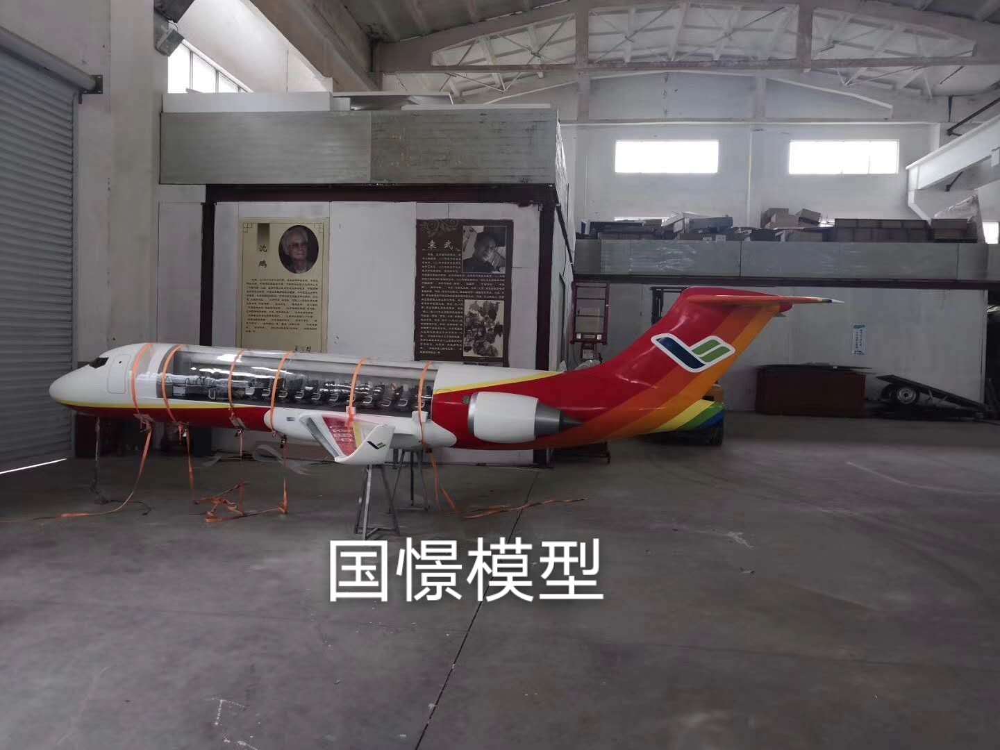 广平县飞机模型